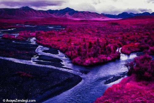  عکس های جالب و دیدنی از قطب شمال 