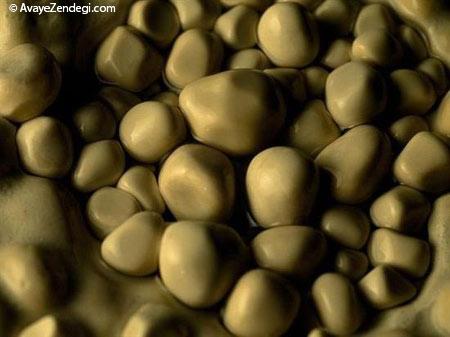 زیباترین دالانهای زیر زمین!! زیباترین دالانهای زیر زمین!!