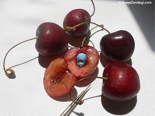  عکس نقاشی های مینیاتوری شگفت انگیز 