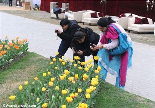نمایشگاه گل لاله در شهر لاهور