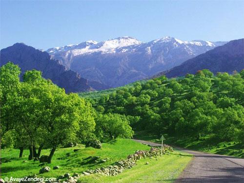  ایران‌گردی، از شیراز و اصفهان تا کردستان 