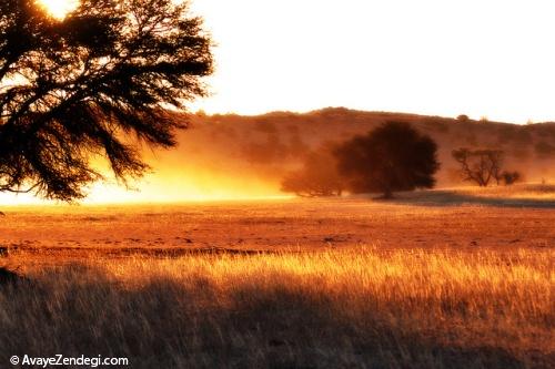 زیباترین مکان های آفریقا در بوتسوانا