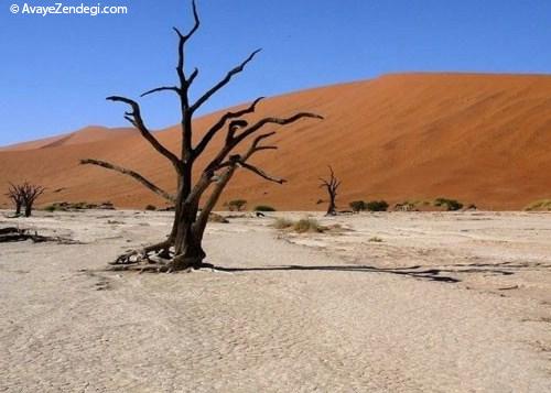  تصاویر اسرارآمیز از دره مرگ! 