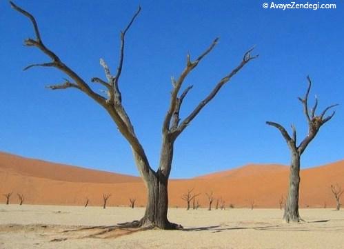  تصاویر اسرارآمیز از دره مرگ! 