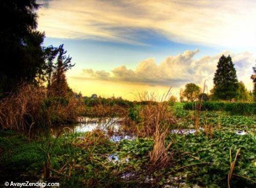 راهنمای سفر به ژوهانسبورگ راهنمای سفر به ژوهانسبورگ