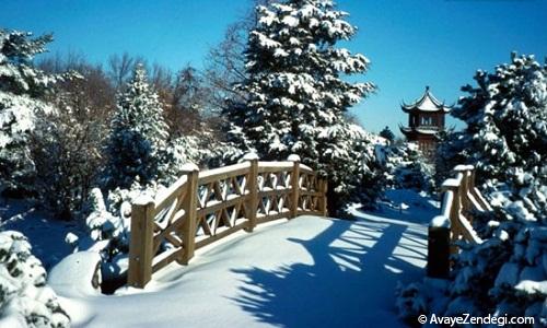 زمستان زیبا در باغ های گیاه شناسی دنیا زمستان زیبا در باغ های گیاه شناسی دنیا