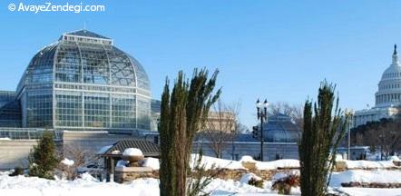 زمستان زیبا در باغ های گیاه شناسی دنیا زمستان زیبا در باغ های گیاه شناسی دنیا