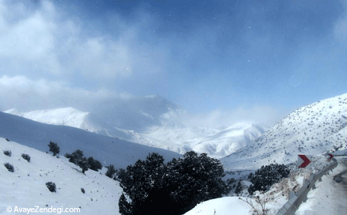 سفیدی برف در چالچالیان