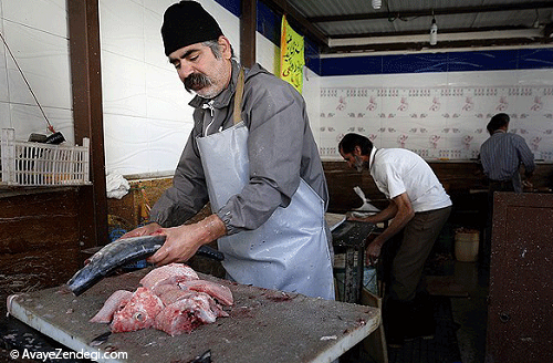 بوی ماهی در بازار بوشهر