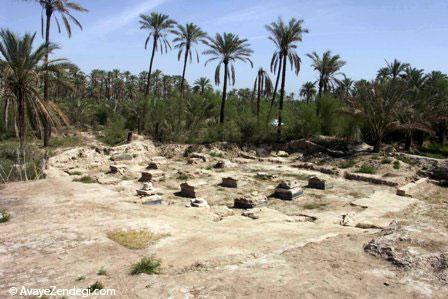 بوشهر و این همه جاذبه گردشگری (3) بوشهر و این همه جاذبه گردشگری (3)