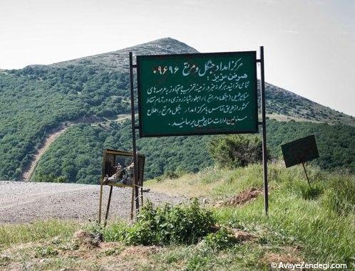 جنگل باستانی هیرکانی ابر جنگل باستانی هیرکانی ابر