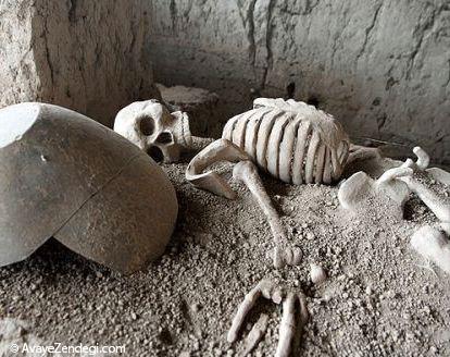  موزه باستان شناسی گوهر تپه 
