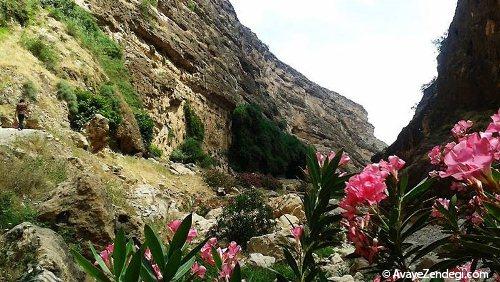  دره ای تاریخی و کم نظیر در قلب ایلام 