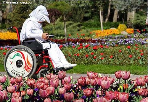  نمایشگاه گل لاله در کرج 