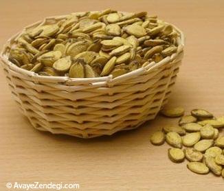 دایره المعارف تخمه دایره المعارف تخمه