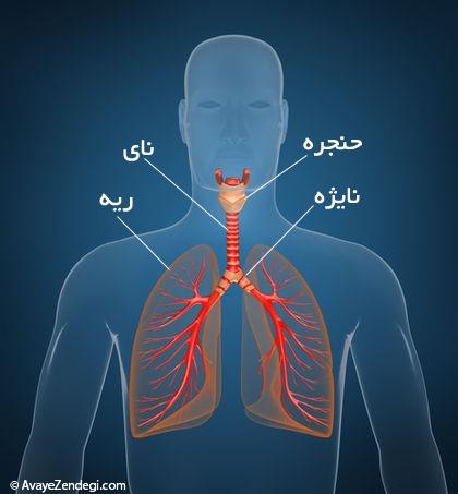 تنگی نای، تنفس را سخت می کند