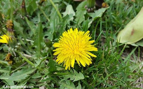 بررسی تخصصی Galaxy S5 سامسونگ بررسی تخصصی Galaxy S5 سامسونگ