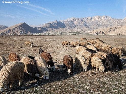  دو روی چهره دریاچه پریشان 