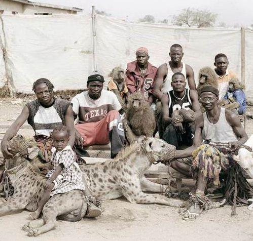  حیوانات خانگی در آفریقا 