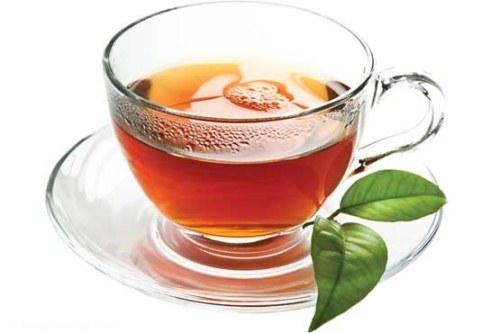 كامبوچا، چای جدید و جادویی