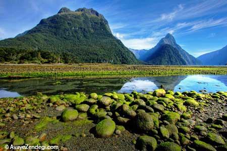 گشت و گذار در طبیعت وحشی نیوزیلند
