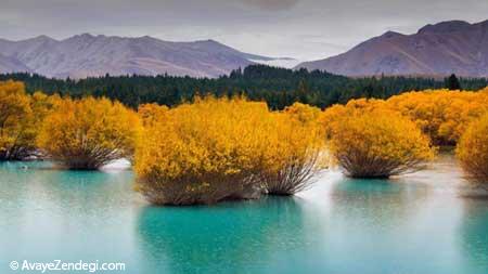  گشت و گذار در طبیعت وحشی نیوزیلند 