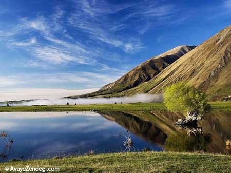  گشت و گذار در طبیعت وحشی نیوزیلند 