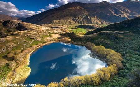  گشت و گذار در طبیعت وحشی نیوزیلند 