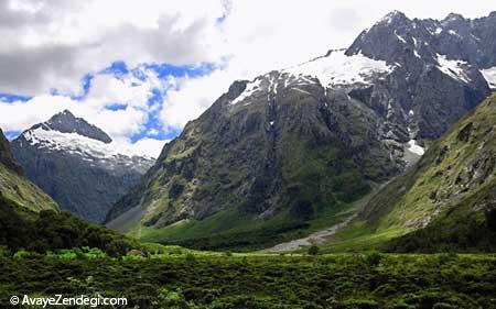  گشت و گذار در طبیعت وحشی نیوزیلند 