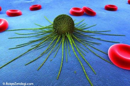 همه آنچه بیماران سرطانی باید از رژیم غذایی خود بدانند