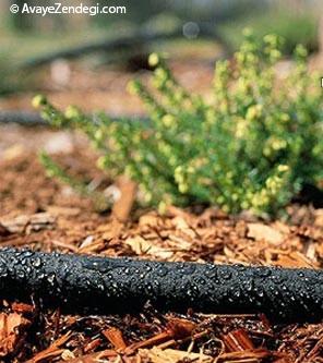 ترفند هایی برای باغبانی آسان در خانه ترفند هایی برای باغبانی آسان در خانه