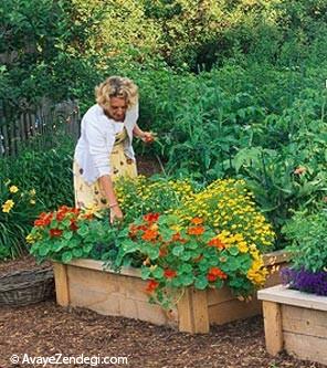 ترفند هایی برای باغبانی آسان در خانه ترفند هایی برای باغبانی آسان در خانه