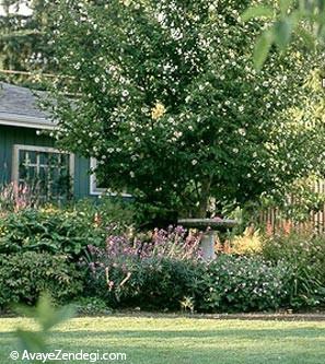 ترفند هایی برای باغبانی آسان در خانه ترفند هایی برای باغبانی آسان در خانه
