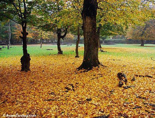  پارک‌های ملی ایران 