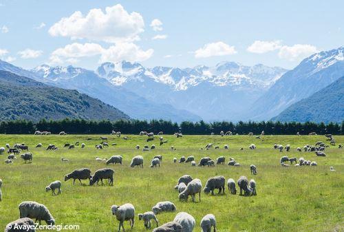 گردشگری تصویری از دیدنی های نیوزلند گردشگری تصویری از دیدنی های نیوزلند