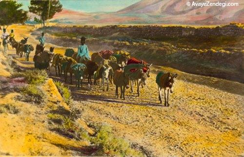 عکس های رنگی جالب از دوران قاجار 