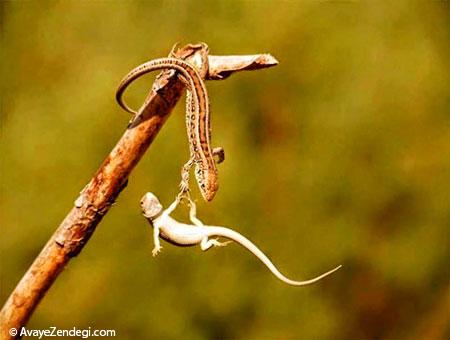 چه مواقعی کمک نکنیم؟! چه مواقعی کمک نکنیم؟!