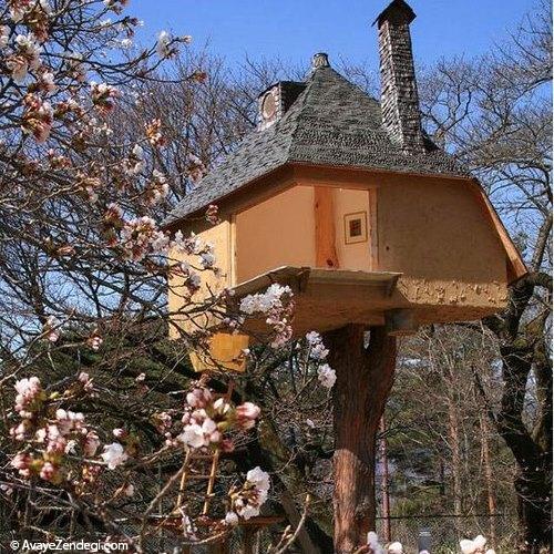  زیباترین خانه‌های چوبی دنیا 
