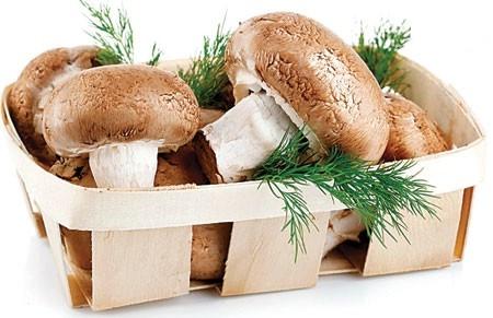 جولیا رابرتز با رژیم قارچ چجوری لاغر شد؟ جولیا رابرتز با رژیم قارچ چجوری لاغر شد؟