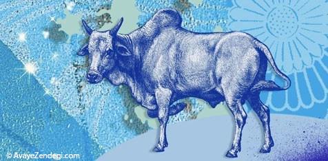 سال بز برای شما چه جوریه؟ سال بز برای شما چه جوریه؟