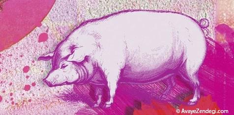 سال بز برای شما چه جوریه؟ سال بز برای شما چه جوریه؟