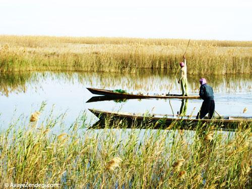 میای بریم تالاب های خوزستان؟ 