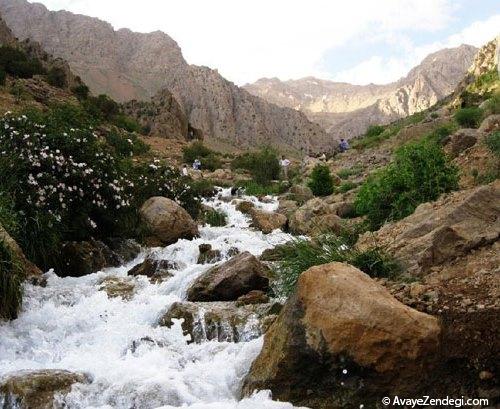  «چشمه میشی» کجاست؟ 