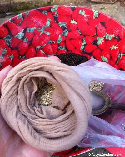 آموزش تصویری کاشت سبزه آدمکی