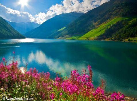  تصاویر زیبا از فصل بهار در سراسر جهان 