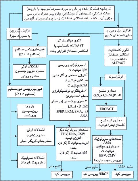  بیماری سندرم ژیلبرت را بیشتر بشناسید 