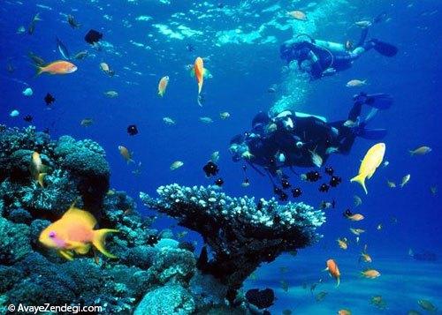 سفر به جزایر ایرانی خلیج فارس سفر به جزایر ایرانی خلیج فارس