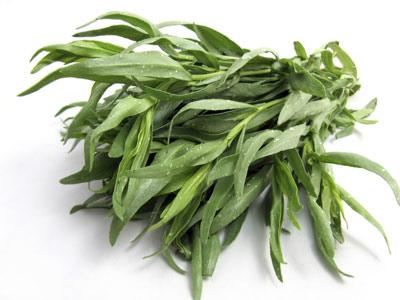 اطلاعاتی کامل درباره گیاه ترخون 