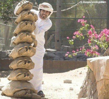 19 چیزی که فقط در دبی اتفاق می افتند! 19 چیزی که فقط در دبی اتفاق می افتند!