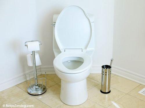 توالت ناقل چه بیماری هایی است؟